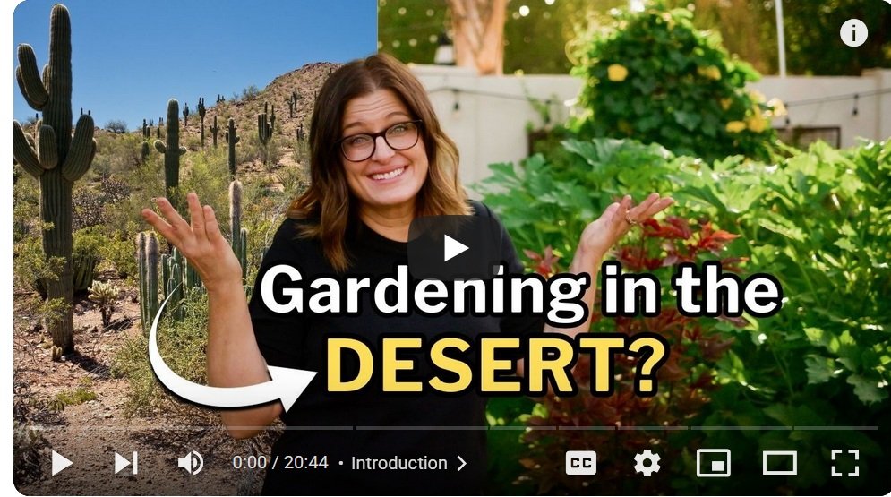 video 2 gardening in the desert