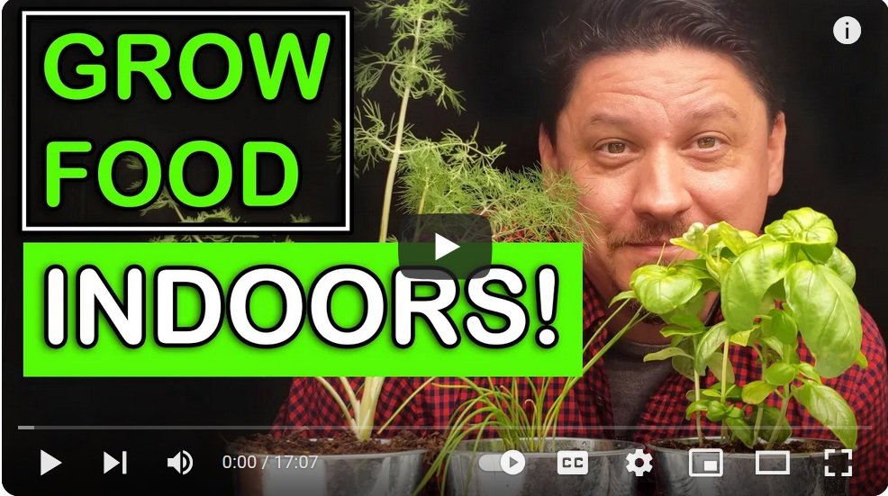 video 3 gardening indoors