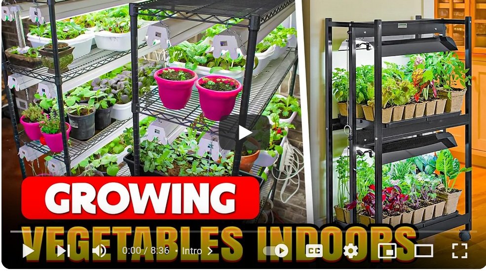 video 4 gardening indoors